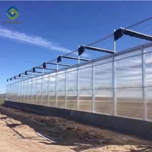Garden Transparent 12m Flower PC Sheet Greenhouse