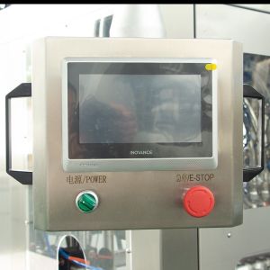 Npack Linear Structure Fully Automatic Detergent Bottle Packing Machine