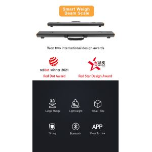Professional and Flexible Pallet Beam Scale for Intralogistics Solutions