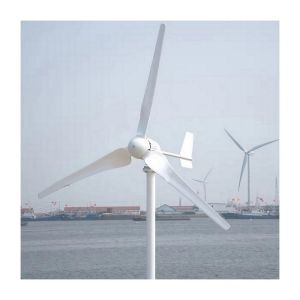 Home Wind Solar Hybrid Mills Power Generator System with 3 Phase AC Permanent