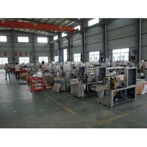 220V 2kw Laundry Detergent Tablet Packing Machine