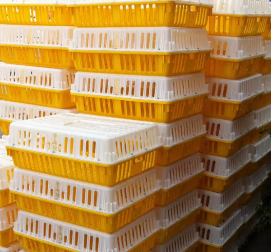 98cm Plastic Chicken Transport Box