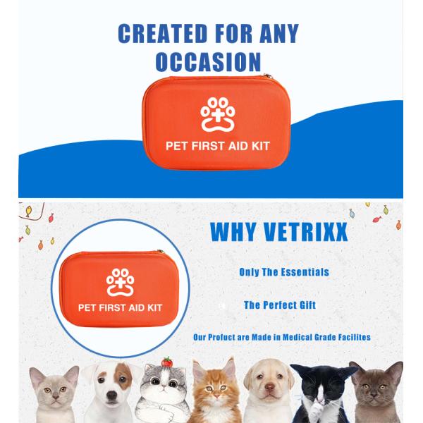 Bestreat Compact Veterinary Instrument First Aid Kit Vet-Approved for Home Car Outdoor Travel for Treating Dogs Cats