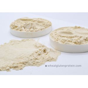 Quality Vital wheat gluten powder for baking foods, pasta foods, sausage foods and so on for sale