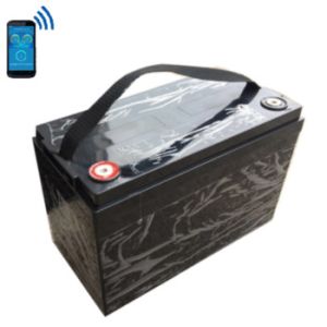 100ah Solar Lithium Battery , 12V Lithium Iron Phosphate Battery