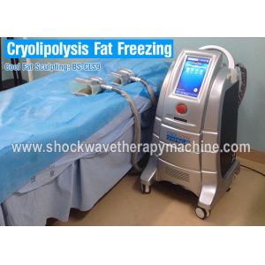 Fat Freeze Cryolipolysis Treatment For Body Slimming