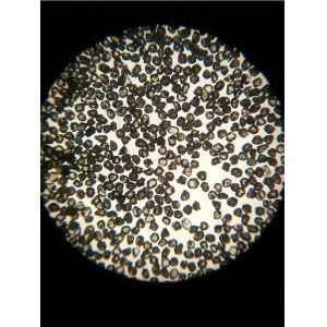 Quality Low Magnetic Diamond Dust Abrasive Materials , Nanodiamond Powder RCSD Series for sale