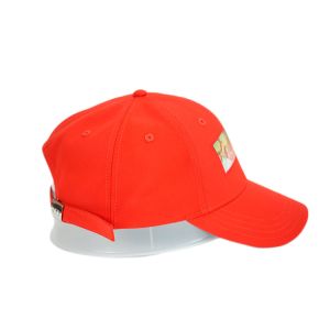 Bsci Custom Baseball Cap Constructed Adjustable Printing Logo