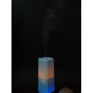 Compact Design Electric Aromatherapy Diffuser Super Quiet Design No Noisy