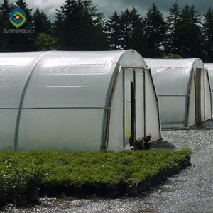 0.5KN/M2 Clear Polythene Single Tunnel Greenhouse