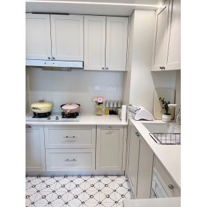 Modern Kitchen Cabinets with Quartz Countertop and Backsplash