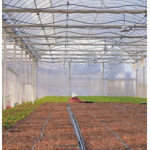 Multi-Span Film Greenhouse for Farming Package Gross Weight of 20.000kg and