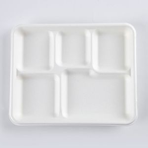 5 section Compostable Dessert Plates Sugarcane/Bagasse and Bamboo Fibre