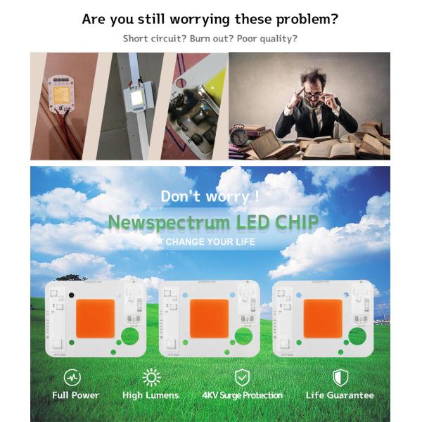 3000lm COB LED Module COB Chip 50Watt 6000K For Commercial Lighting Solutions