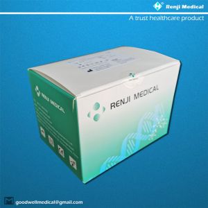 SGS MSDS Viral Nucleic Acid Isolation Kit Magnetic Bead Method