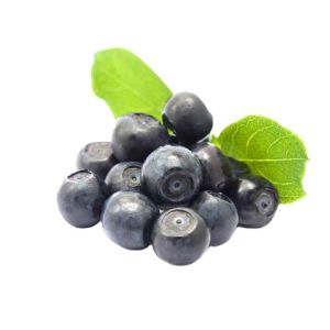 China IQF Frozen Whole Blueberries Premium Baking and Smoothie Toppings Intensely on sale