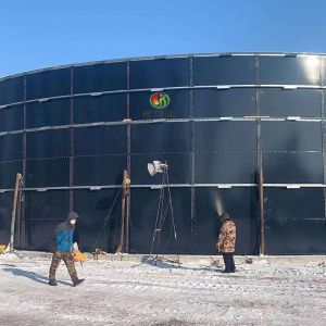 Compressed Bio Gas Plant Cost Gobar Gas Plant Project