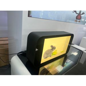 Indoor 3D Transparent LCD Screen