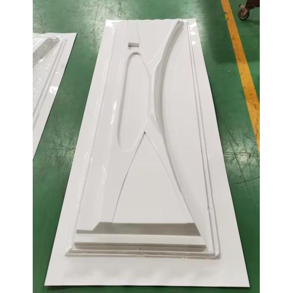 100000 Shots SMC Door Skin Mold