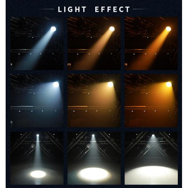 Warm White / Cool White IP20 2 In1 200w/300w LED COB DMX Par Light With Zoom