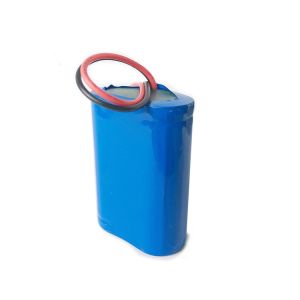 Custom Sanyo 7.4V 1600mAh 18650 Lithium Battery Pack