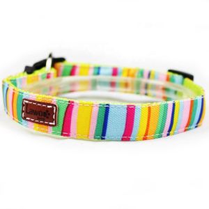 Quality C508 Shenzhen Manufacturer Cute Cheap Price Custom Logo Fashion Sublimation Pet Dog Collars and Leads for sale