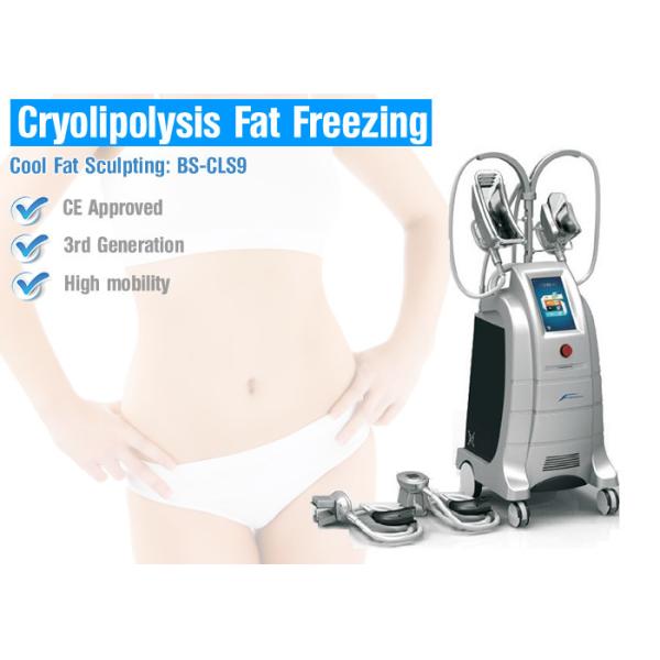 Buy Fat Freeze Cryolipolysis Treatment For Body Slimming at wholesale prices