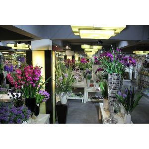 Xiamen Fusihua Imp. & Exp. Co., Ltd.