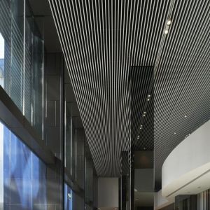 Transfer Printing Honeycomb False Ceiling Design Random Modelling