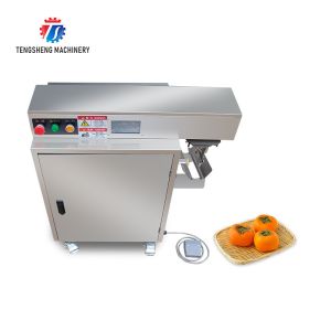220V Industrial commercial fruit and vegetable peeler Apple pear persimmon