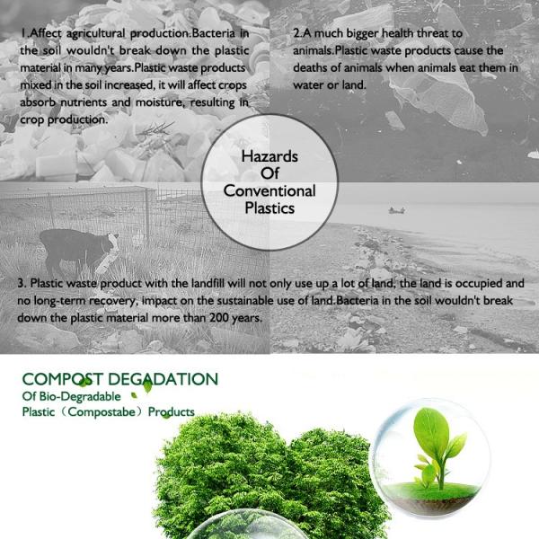 Wholesale Pet Bone Shape Waste Bag Carrier Holder Case Dispenser Biodegradable Dog Poop Pick Up Bags