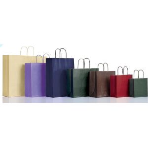 fancy luxury printed recycled party carry bag paper bag printing carrier bag