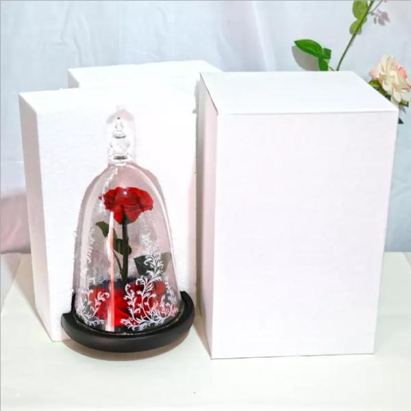 Beauty and the beast roses valentines day real preserved rose in glass that lasting 3 years