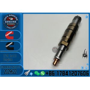 2036181 brand new Common Rail Engine Accessories Diesel Injector 2031835 2030519