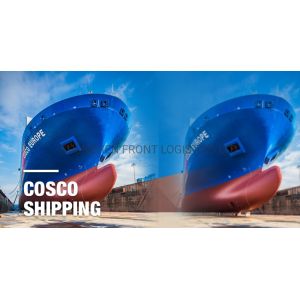 DDP with 3pl Title Clearance Service LCL by Seafreight Fba Amazon Service From