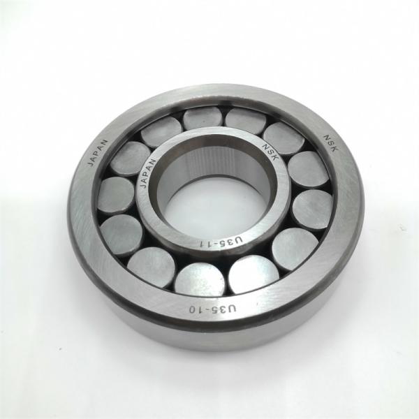 Heavy Duty Cylindrical Roller Bearing Full Complement U35-11 U35-11CG42