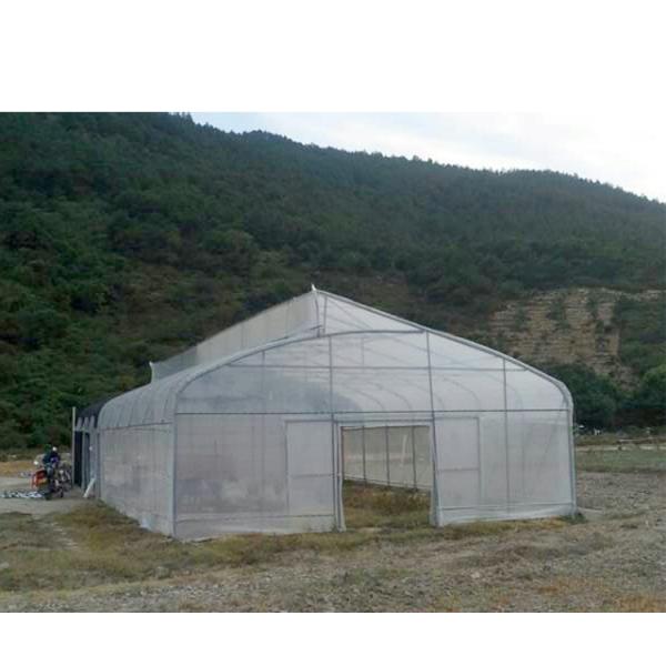275gsm Zinc Coated Steel Pipe Greenhouse With Agricultural Plastic Film