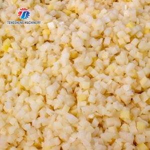 1000KG/H Commercial coconut sweet potato medicine 3d dicing automatic dicing