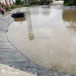 40 mil HDPE Geomembrane Pond Liner with Reinforced Waterproofing Polyethylene