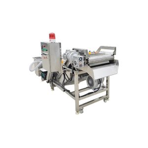 Air Bubble 3.75KW 500kg/h vegetable washing equipment