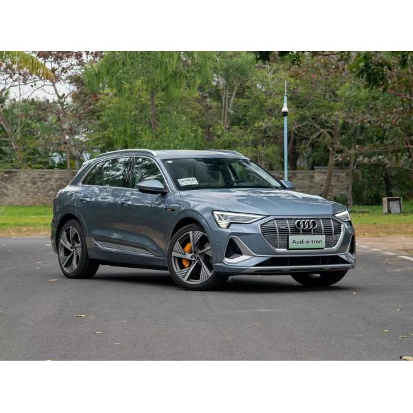 Audi E-Tron 2021 50 Quattro Zhenxuan Version SUV 5 Seats Luxury