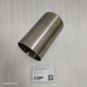 Hyunsang Engine Repair Kits Liner Compatible With 6685981 V2203 Engine