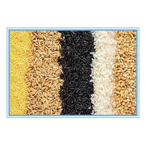 Larger Capacity Grain Corn Color Separator Machine With CCD LED Lights Hot In