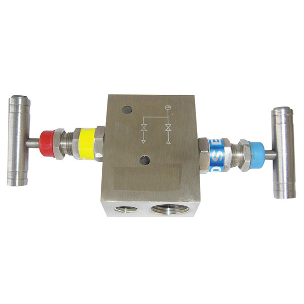 Buy 3000 Psi 1/4 Female NPT Instrument Manifold Valve 100C 2 Way Manifold at wholesale prices
