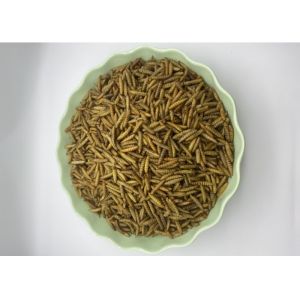 1 Year Shelf Life Freeze wholesale Dried Mealworms