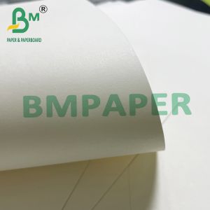 180gsm + 15g PE Noodle Bowl Cup Stock Paper Board For Hot Food