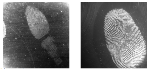 Ultra Wide Spectral Material Uniform Light Source Evidence Searching And Shooting System