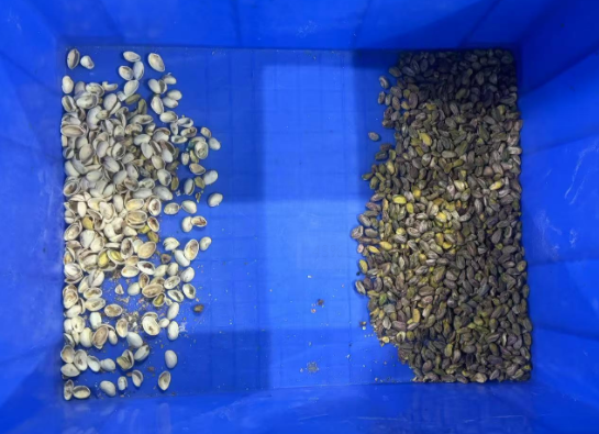 Wenyao Belt Type Double Stages Pistachio Kernell Shell Separation