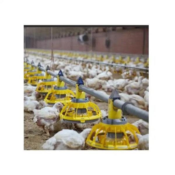 Environment Control Animal Husbandry / Poultry Farm Equipment Automatic Feeding