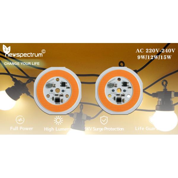 Aluminum DOB LED Module